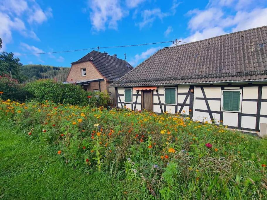 Besonderer Art Apartment Windeck